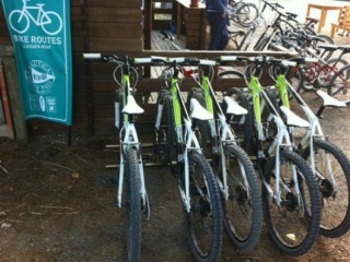 Bicicletas en alquiler